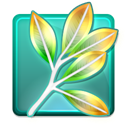 version cue icon